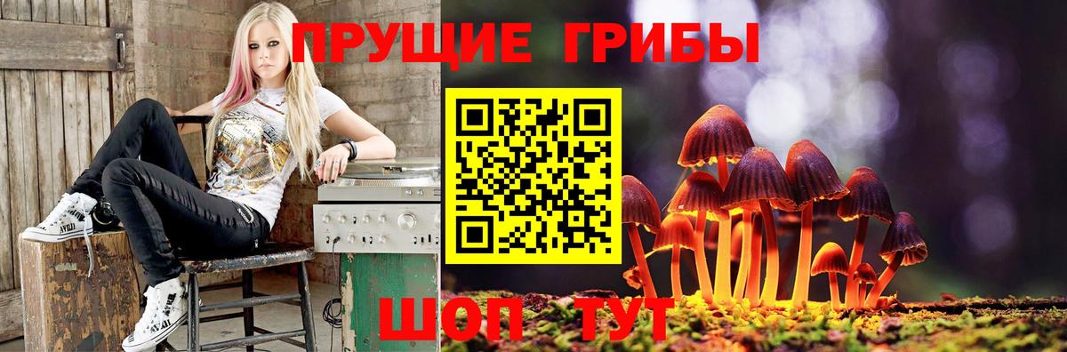 Галлюциногенные грибы ЛСД  Вход с VPN  Урай  Псилоцибиновые грибы Psilocybe 
